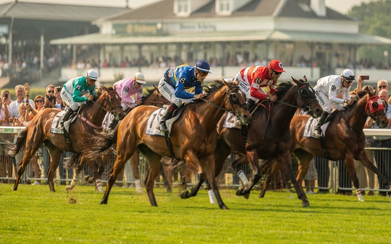 Das Deutsche Derby auf der Galopprennbahn Hamburg-Horn