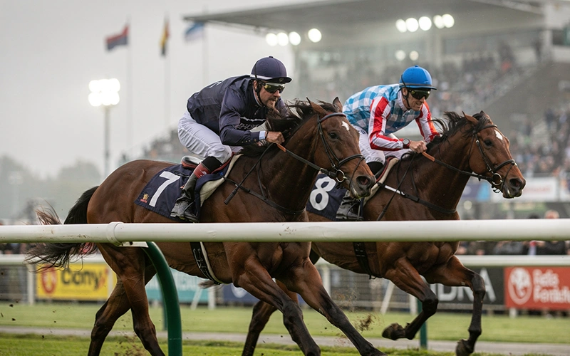 Zwei Pferde im direkten Duell auf der Rennbahn