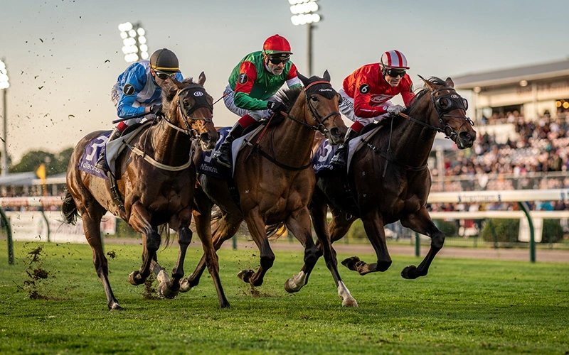 Drei Pferde kämpfen um die vorderen Plätze